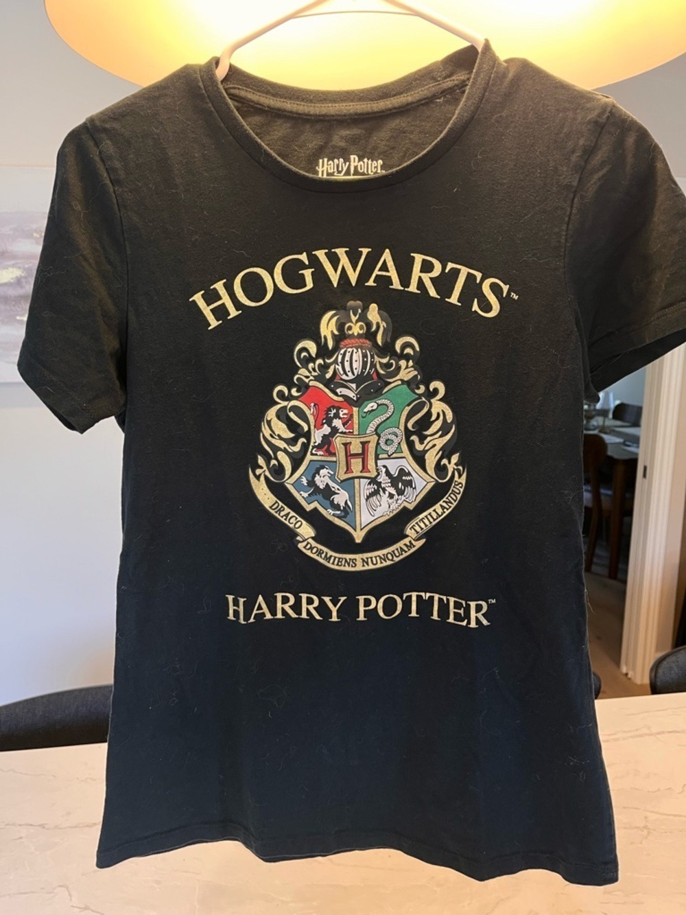 Harry Potter Hogwarts Crest Short Sleeve Tee - Black - Picture 1 of 4